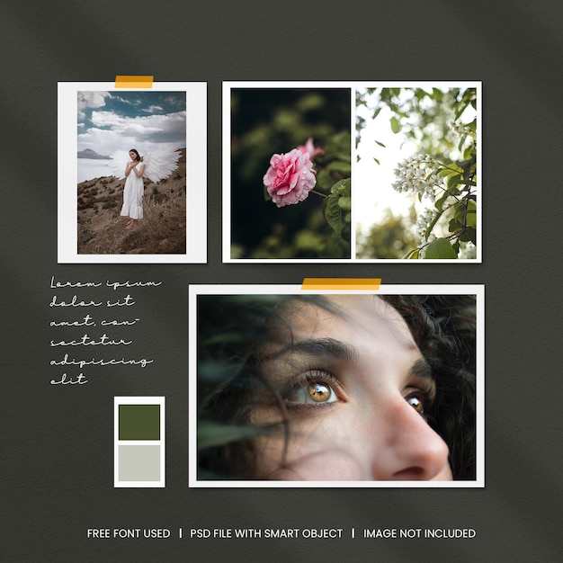 PSD modello di mockup polaroid