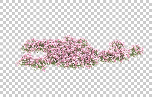 Pole Kwiatów Na Przezroczystym Tle. Renderowanie 3d - Ilustracja
