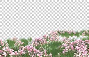 PSD pole kwiatów na przezroczystym tle. renderowanie 3d - ilustracja