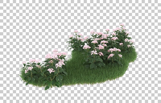 Pole Kwiatów Na Przezroczystym Tle. Renderowanie 3d - Ilustracja