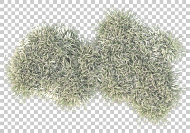 PSD pole trawy z przezroczystym tłem renderowania ilustracji 3d
