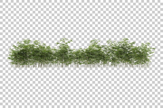 PSD pole trawy z przezroczystym tłem renderowania ilustracji 3d