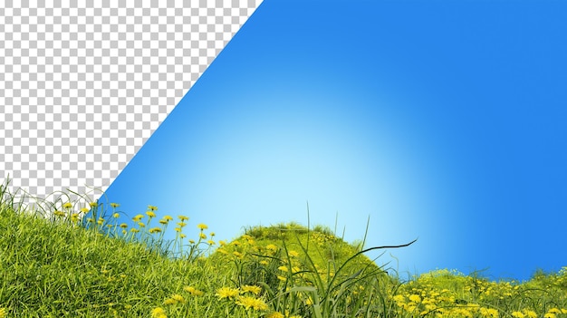 PSD pole zielonej trawy z kwiatami krajobraz ze wzgórzem łąka z dmuchawcami 3d render zielony trawnik