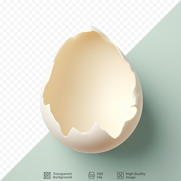PSD połowa skorupki jajka pokazana na przezroczystym tle