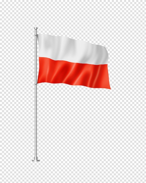Polska flaga na białym tle