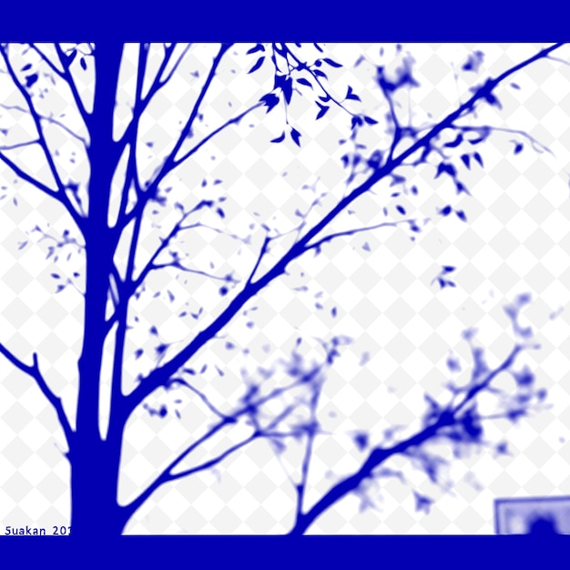 Poplar Branch Shadows Creating Tall Thin Patterns Sharp Outline PNG schaduw Cast Illustraties