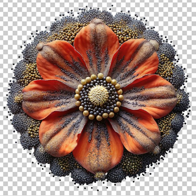 PSD poppy seeds in flower shape