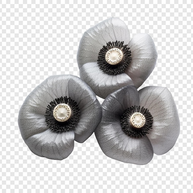 PSD poppy seeds isolated on transparent background