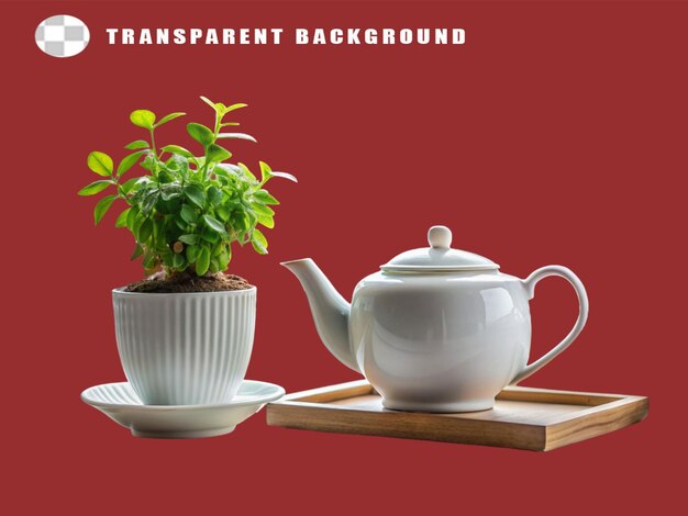 A porcelain teapot between two potted plants on transparent background