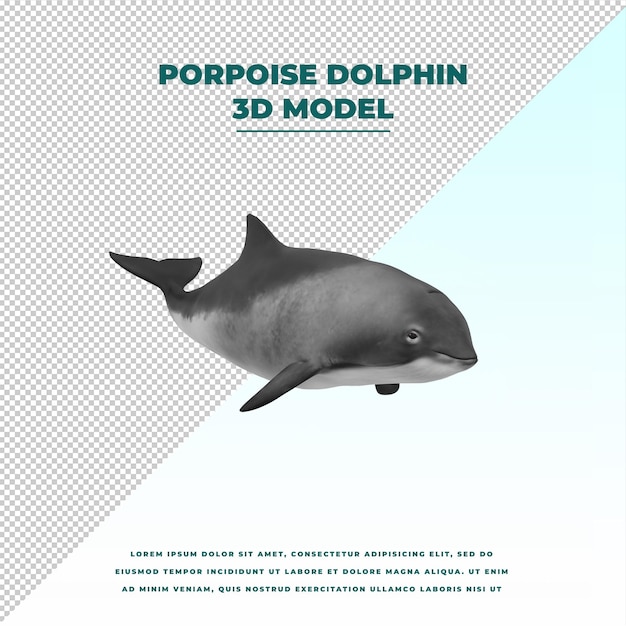 PSD porpoise dolphin poses