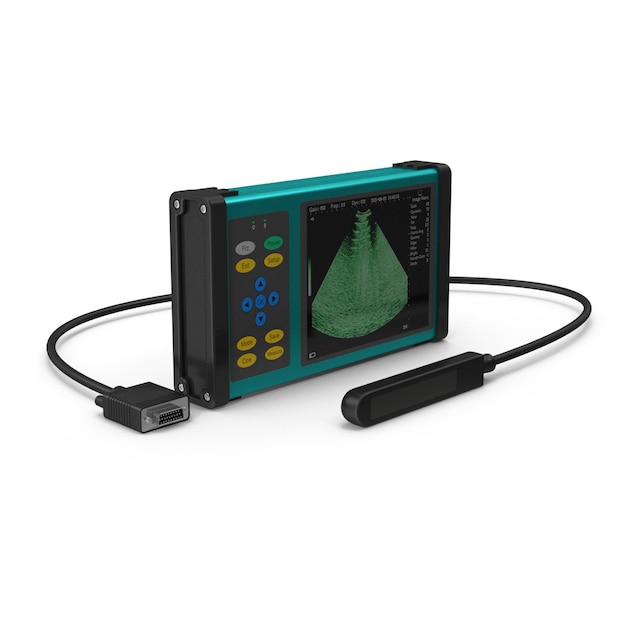 portable ultrasound scanner for medical diagnosis