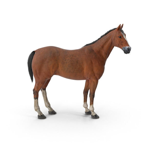 Portret van een bruin paard