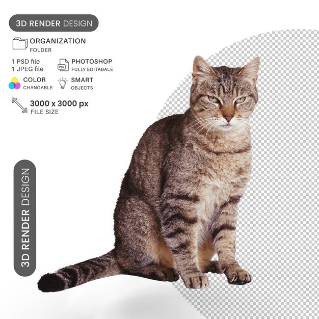 Portret van een kat