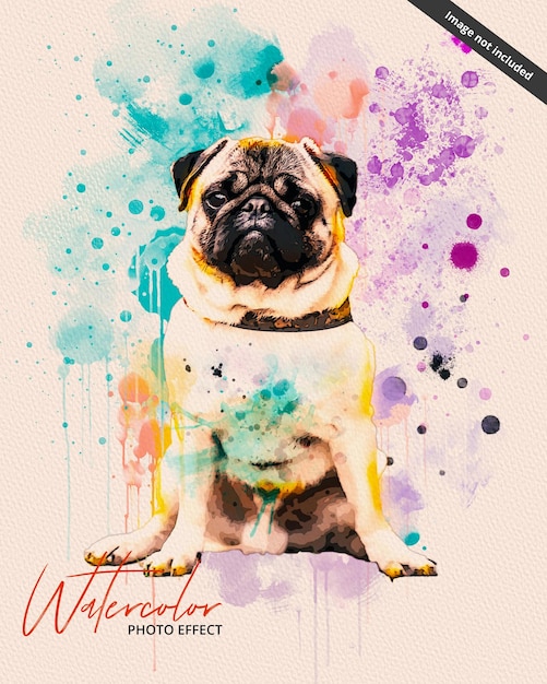 PSD a poster for a pug named pug called watercolor.