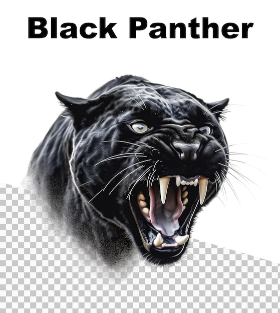 PSD un poster con un'aggressiva pantera nera con la scritta black panther in alto