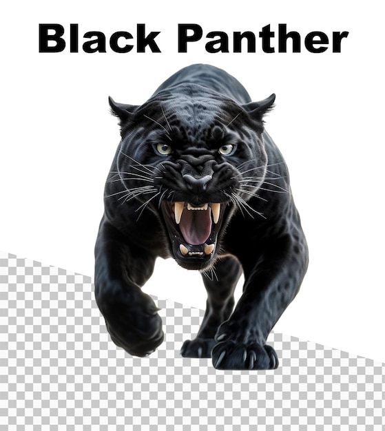 PSD un poster con un'aggressiva pantera nera con la scritta black panther in alto