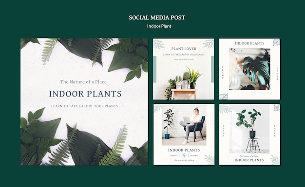 PSD posty w mediach społecznościowych z roślinami domowymi