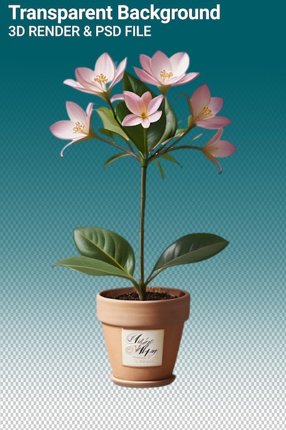 PSD a pot of flowers with the word quot calla quot on it