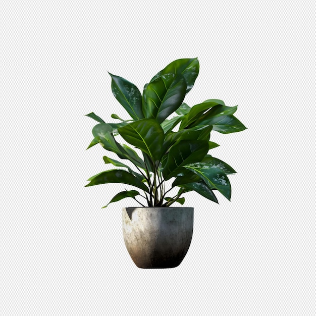 PSD pot plant png