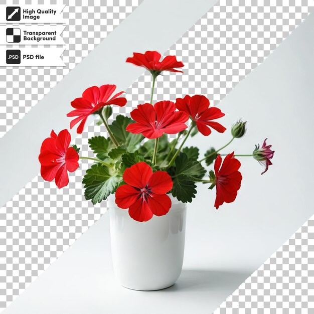 PSD a pot of red flowers with a picture of a plant with the words  geranium  on it