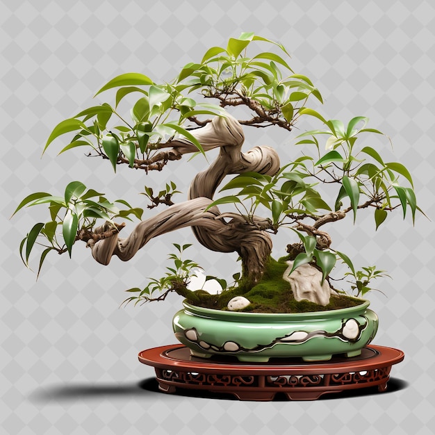 A pot with a plant on it that says quot bonsai quot