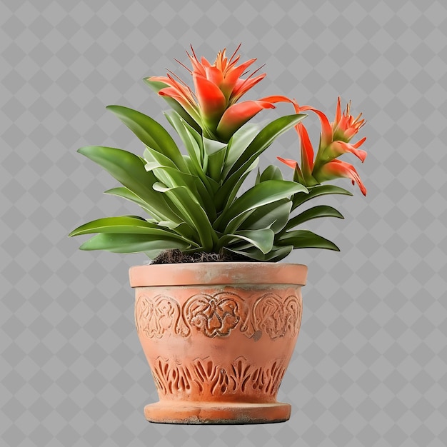 PSD a pot with a plant in it that says quot potted quot