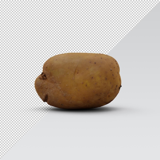 Potato isolated