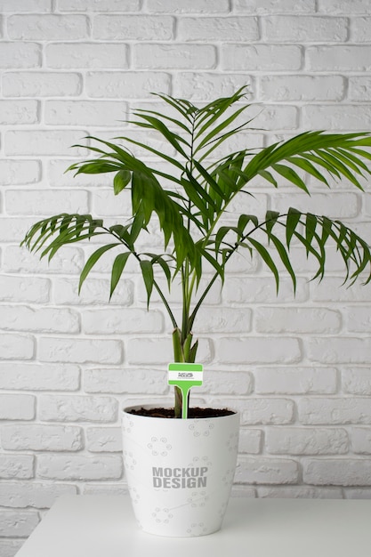 PSD potplant met label