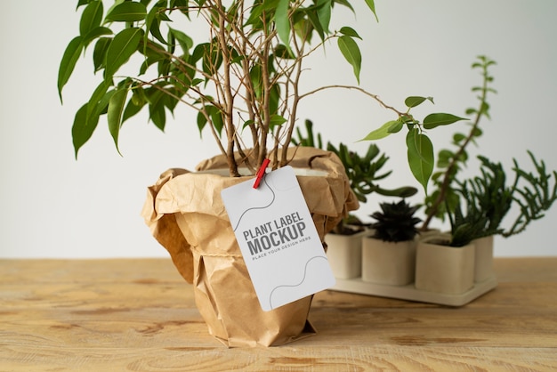 PSD potplant met label