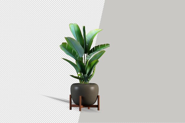 Potplanten bloemen in 3D-rendering geïsoleerd