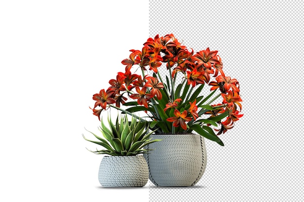 Potplanten bloemen in 3d-rendering geïsoleerd