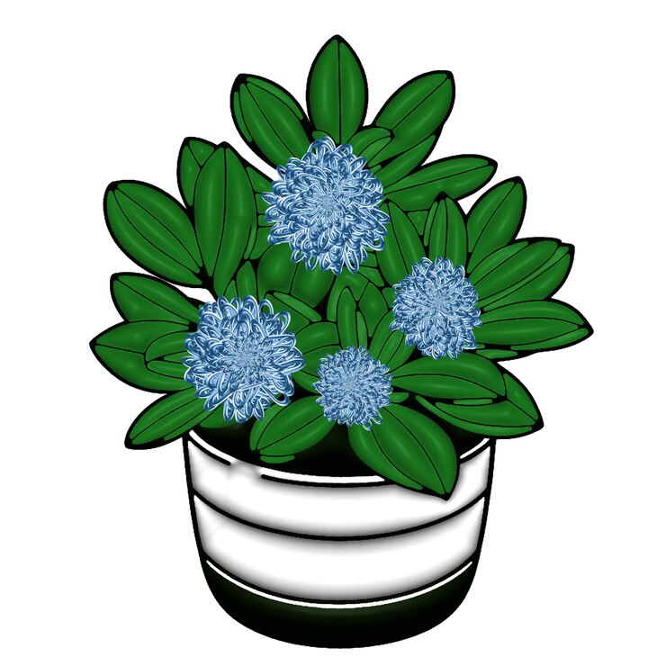PSD potted blue rhododendron