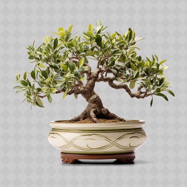 PSD un albero bonsai in vaso con un disegno d'oro in fondo