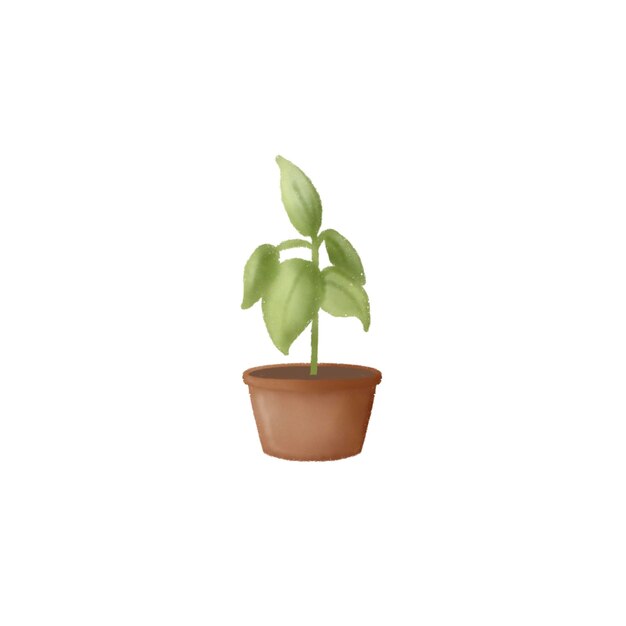 A potted plant in a brown pot with a green leaf