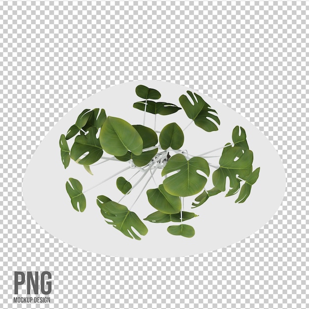 Potted plant isolated decoration in 3d rendering