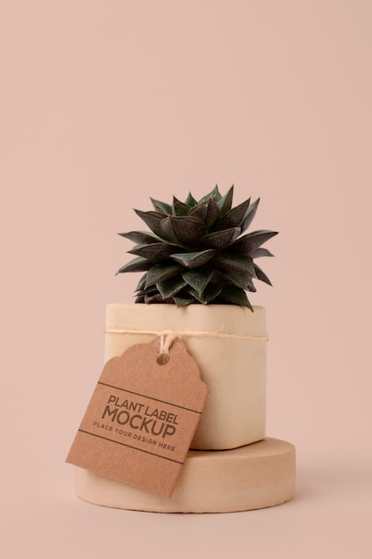 PSD potted plant with label