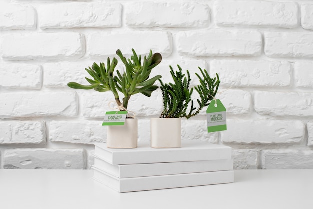 Potted plant with label