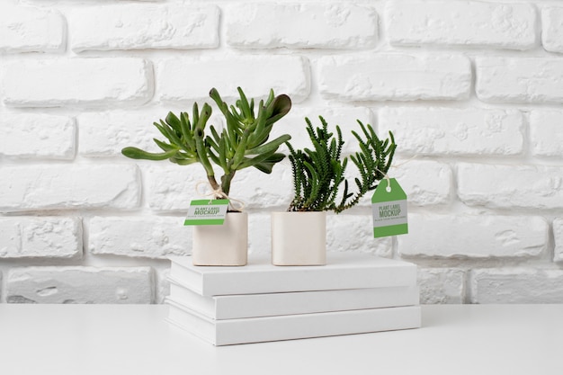 PSD potted plant with label