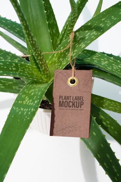 Potted plant with label