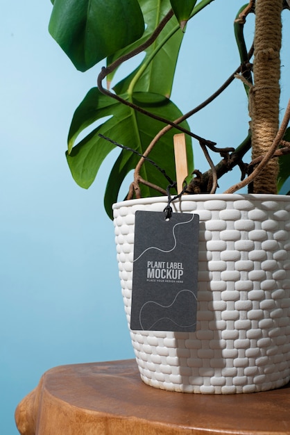 potted plant with label