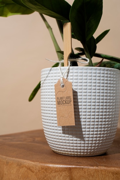potted plant with label