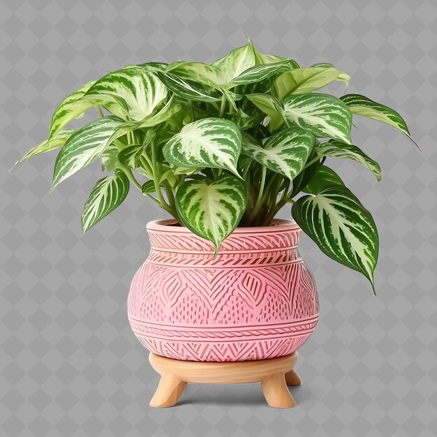 PSD a potted plant with a pattern on it