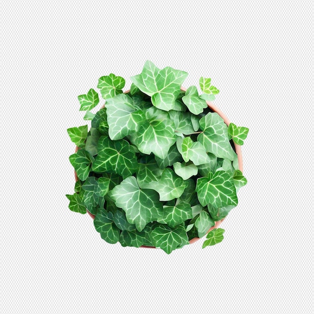 PSD potted plant