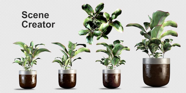 Potted plants in 3d rendering isolated