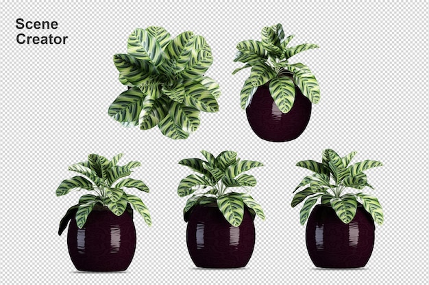 PSD potted plants in 3d rendering isolated