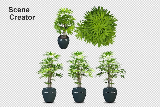 PSD potted plants in 3d rendering isolated