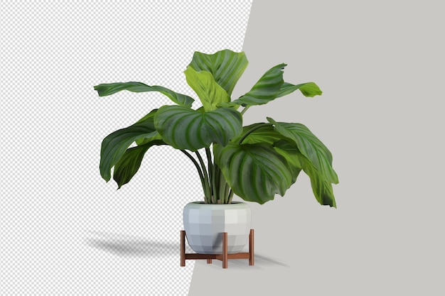 Potted plants in 3d rendering isolated