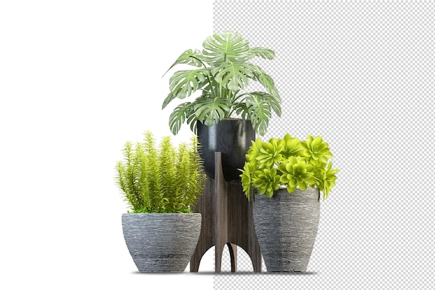 Potted plants in 3d rendering isolated