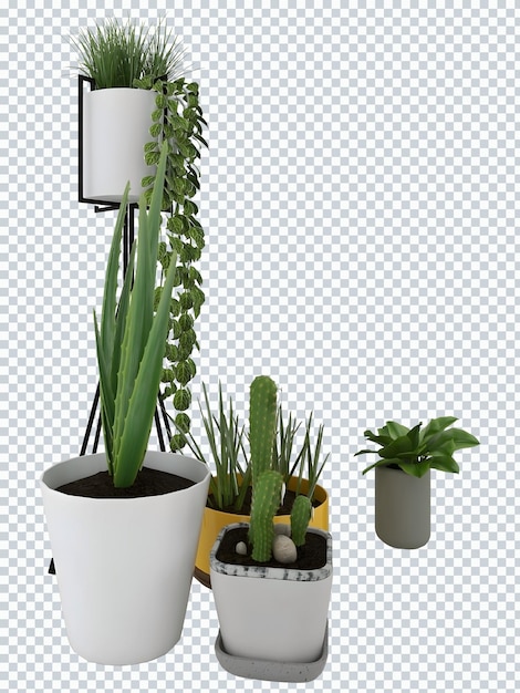 PSD potted plants cactus snake plant on white pots mockup