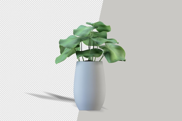 Potted plants flowers in 3d rendering isolated